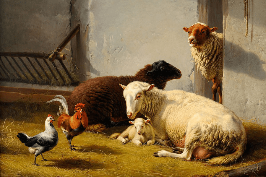 Moutons dans la bergerie — Daniel Trammer