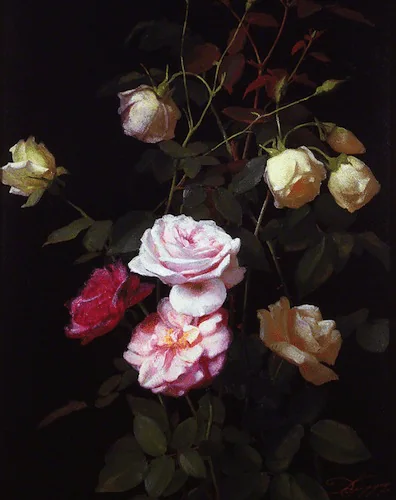 Lumière de roses 100x70 cm — Daniel Trammer
