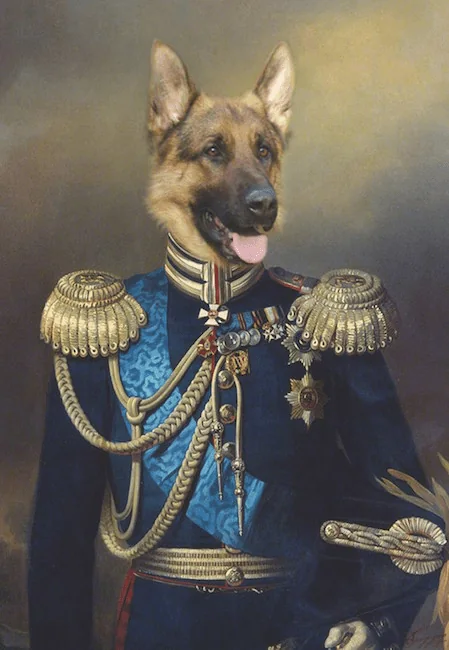 Portrait de chien Berger Allemand en officier 100x70 cm — Daniel Trammer