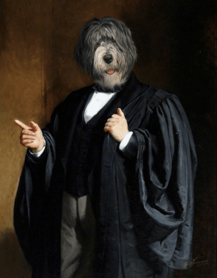 Portrait de bobtail en avocat 90 x 70 cm