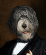 Portrait de bobtail en avocat 90 x 70 cm – Image 3