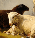 Moutons dans la bergerie 60 x 55 Cm – Image 3
