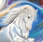 Cheval passion – Image 3