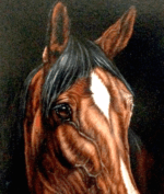 Tête de cheval 65x75 cm – Image 3