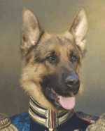 Portrait de chien Berger Allemand en officier 100x70 cm – Image 3